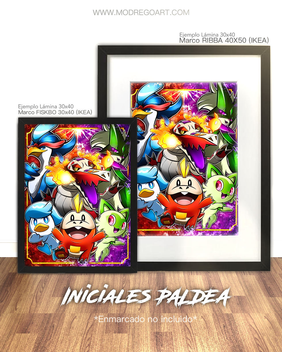 Miniatura: INICIALES PALDEA
