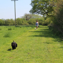 Walking aroud one of the fields