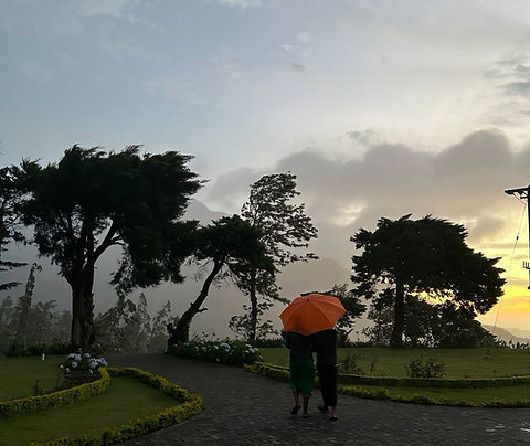 【スリランカ応援】チャリティー紅茶 サイクロン復興支援