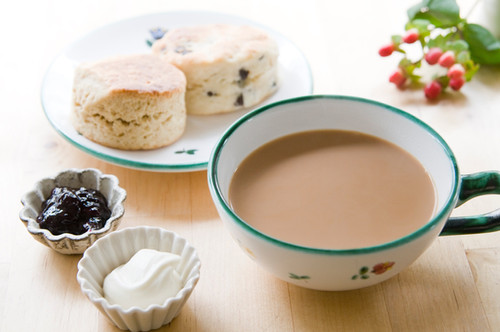 濃厚アイスミルクティー 500mLティーバッグ | MITSUTEA