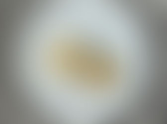 冬至を愉しむ紅茶