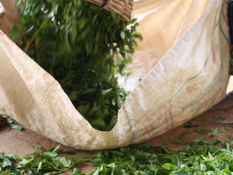 2023年2月1日〜価格改定のお知らせ