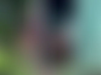 【スリランカ オンライン茶園ツアー】2茶園よりLIVE中継! 旅するように楽しみましょう