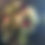 Thumbnail: Florist's Choice Arrangement