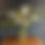 Thumbnail: Florist's Choice Arrangement