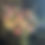 Thumbnail: Florist's Choice Arrangement