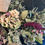 Thumbnail: Protea Pink and Green Dried Wreath