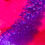 Thumbnail: Color Purples
