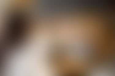 ¿Puede mi negocio volverse famoso gracias a la Internet?