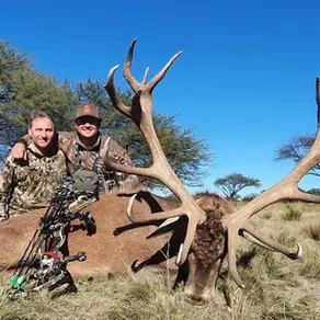 Red Stag Hunting in Argentina: Seasons, Regions and How to Plan Your Hunt