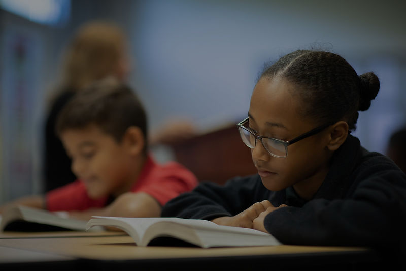 sharks scholar_edited.jpg