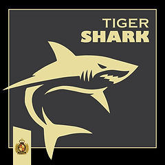 tiger shark.jpeg