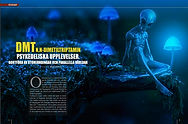 VETENSKAP: Dmtn, psykedeliska upplevelser Bortförd av utomjordingar, parallella världar eller...? ​