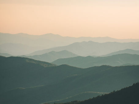 What happens in a psychedelic experience that needs integrating