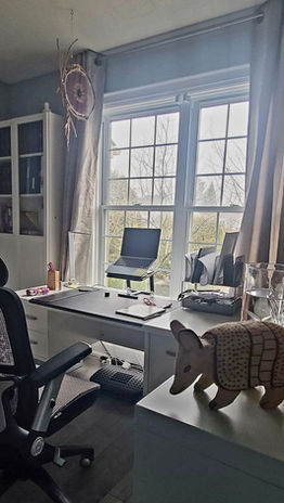 What I See from the Other Side of the Screen.