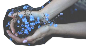 handsflowersgrab.png