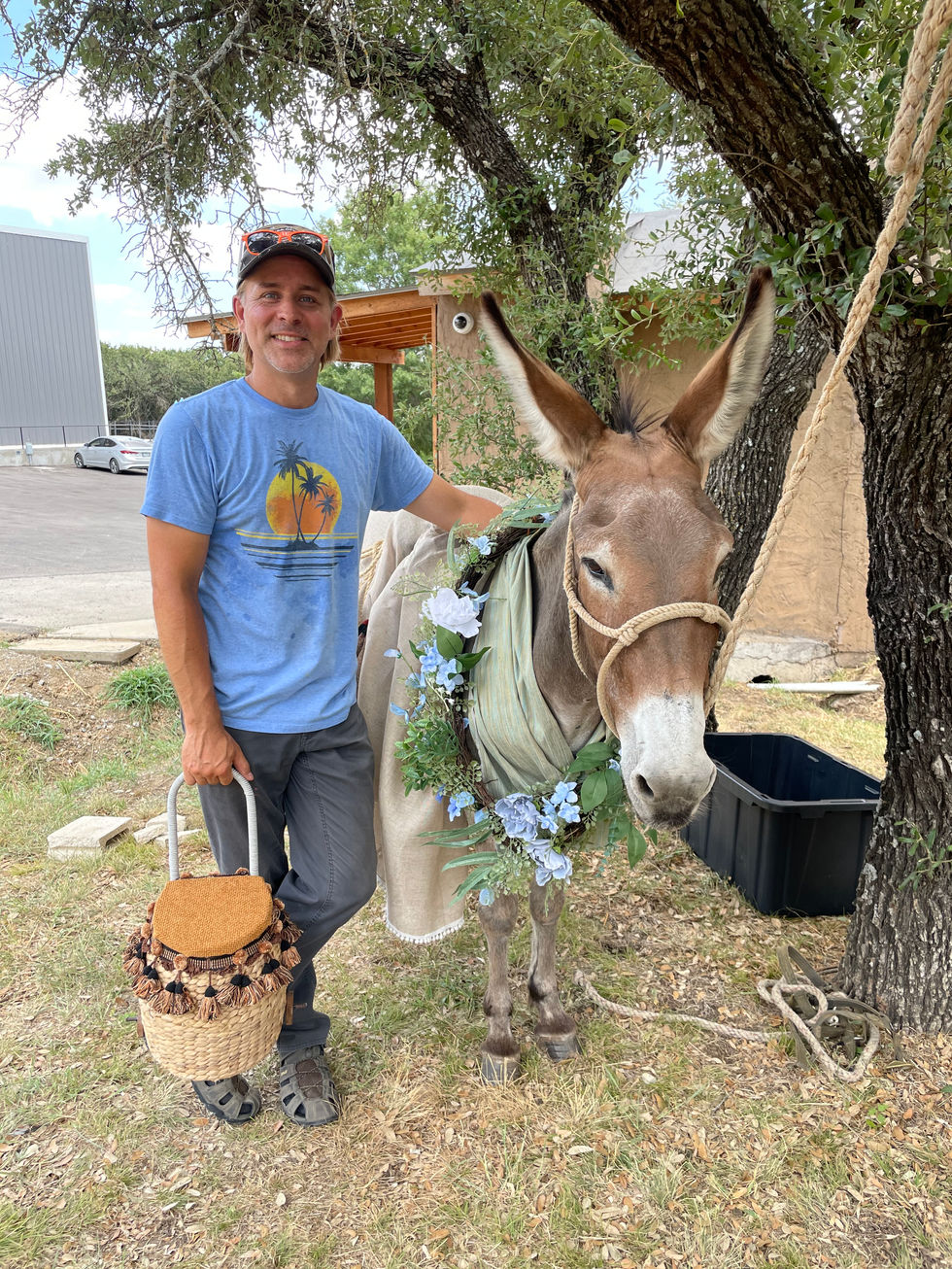 BBC Donkey and me 2