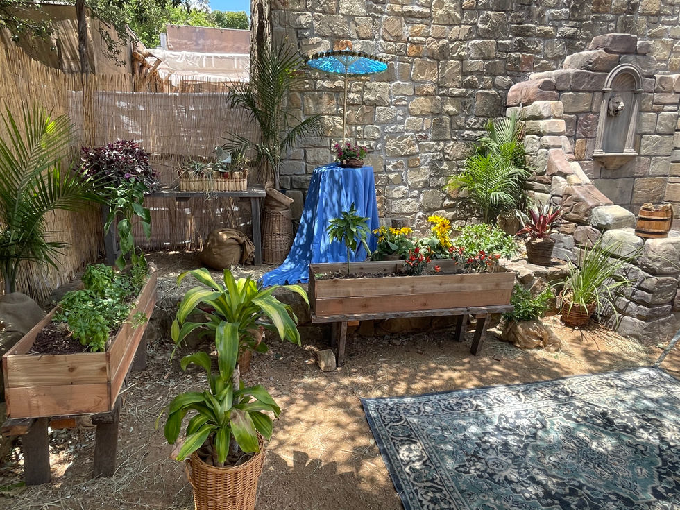 BBC Mary's Garden