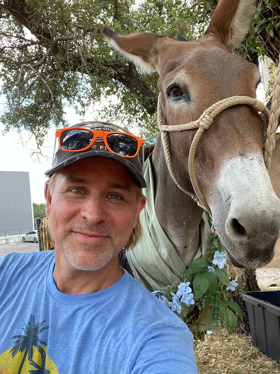 BBC Donkey and me