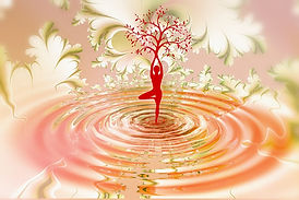 Stacie Rae Wellness Alchemy