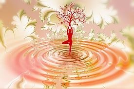 Stacie Rae Wellness Alchemy