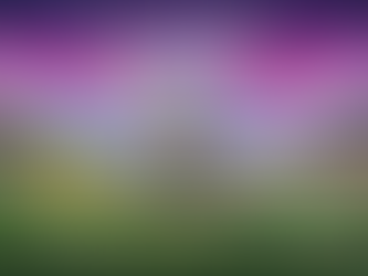 OM AM SEE 2026 – Einzigartiges Yoga- & Musik-Festival am Forggensee in Füssen/Allgäu