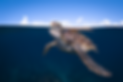 A Breath of Calm.png