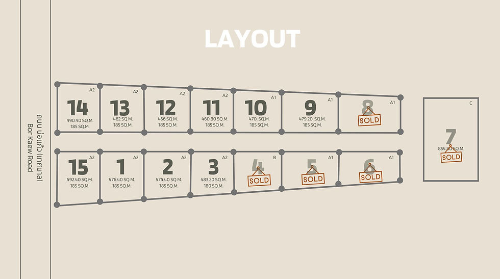 BTPV LAYOUT_edited.jpg