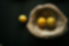 AS8I5077.jpg
