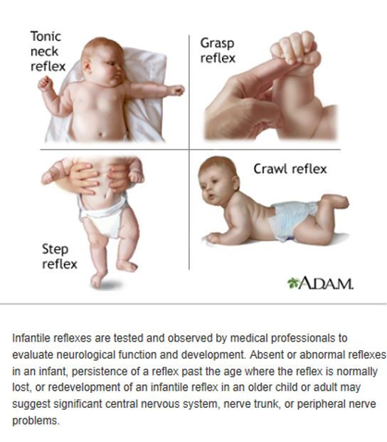 Newborn Reflexes