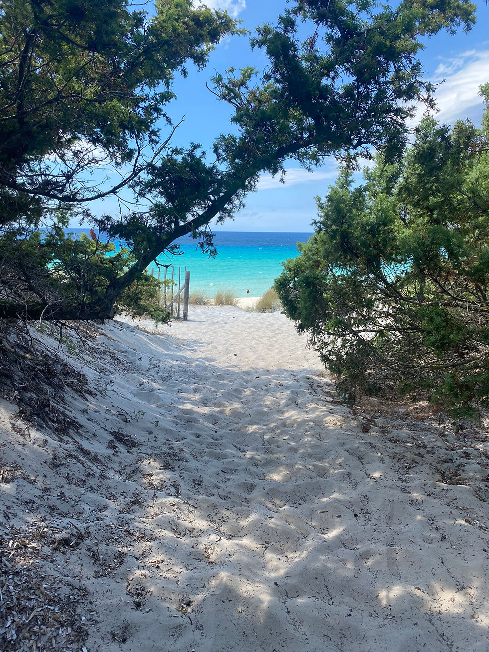 plage de Saleccia