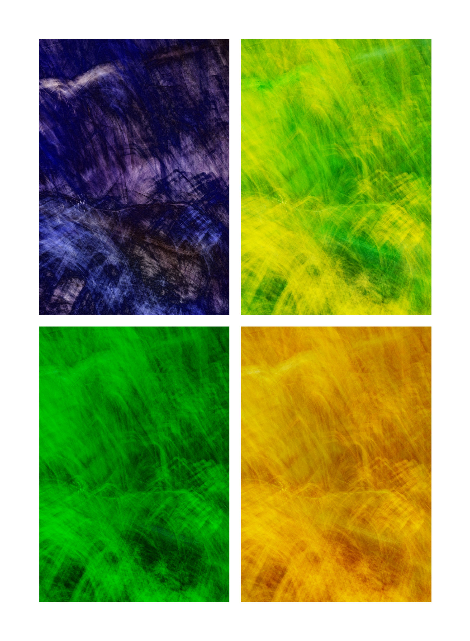 Natures Brushstrokes - Four Seasons