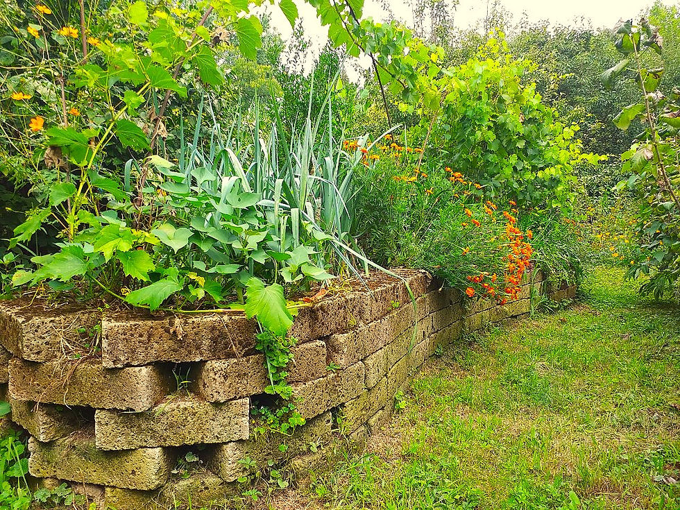 ORTI in PERMACULTURA