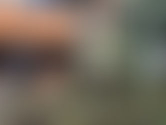 Ipê-roxo protegido por lei é cortado no Cambuí; cobramos explicações!