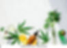 various-glass-bottles-cbd-oil-260nw-1687399108