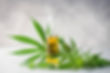 istockphoto-1150408626-612x612