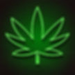 depositphotos_256755392-stock-illustration-medical-cannabis-logo-neon-light