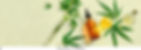 various-glass-bottles-cbd-oil-260nw-1489624163