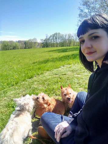 hiking with dogs, groups hikes dogs, off leash training, recall training, group socialization, dog walking, dog hiking, dog trainer nadine