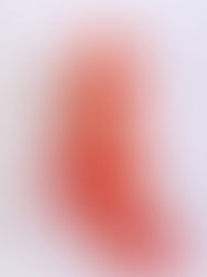 이로우치카케-화환과 학