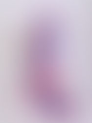 이로우치카케-국화와 작약꽃