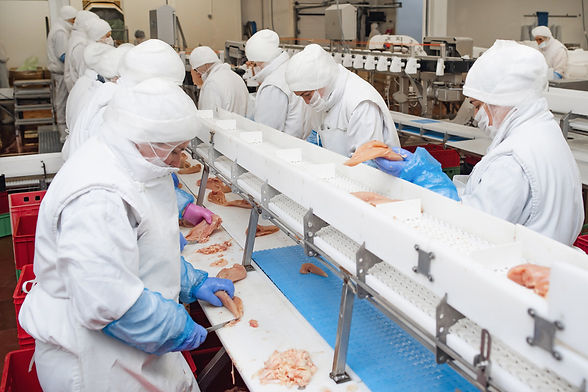General worker at meat processing plant
