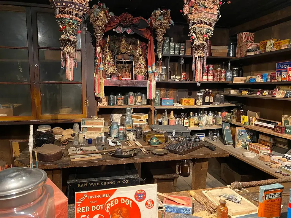 Chinese herbal pharmancy and general store circa 1800s