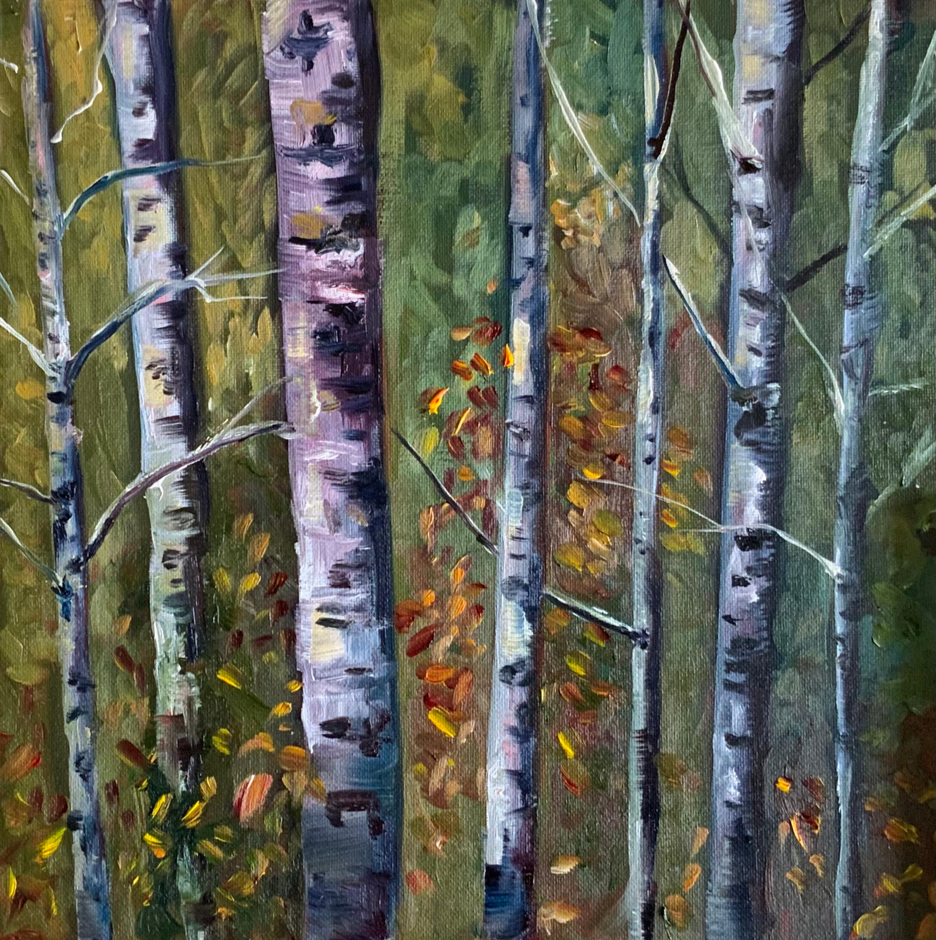 Algonquin highlands Aspen