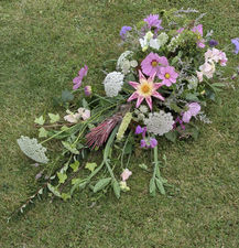 PXL_20250909_132812877_edited.jpg