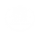 Logo Dritsel blanco