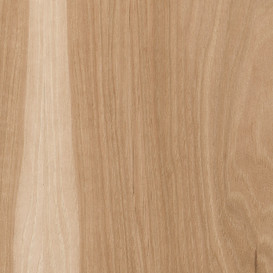 Hickory