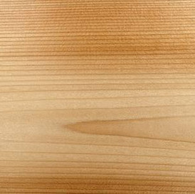 Cedar