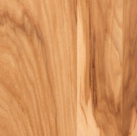 Pecan