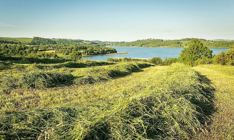 A late summer view over Carsington Water with a field of cut grass in the foreground.